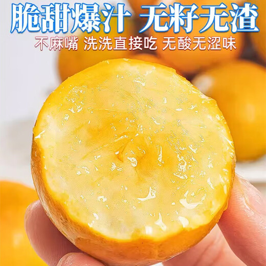京地达广西融安金桔三代脆蜜金桔净重5斤金柑单果约17g水果源头直发包邮