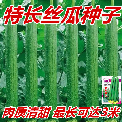 Long luffa seeds are planted in all seasons, early maturing snake-shaped luffa garden pots contain luffa, meat and vegetable seeds. The flesh is sweet. Long luffa seeds are planted all year round. Original 75 capsules. 88% people choose it.