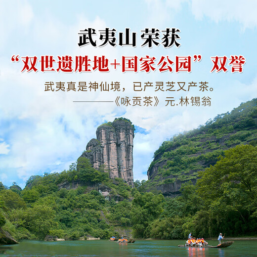 元生泰高三萜 灵芝孢子油软胶囊破壁灵芝孢子粉精华 中老年人保健品 