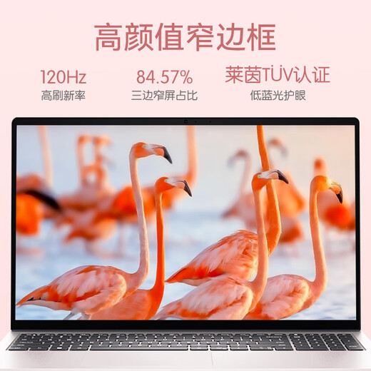 戴尔（DELL）笔记本电脑灵越15Pro 3530 15.6英寸酷睿i7商务办公本游戏女大学生手提便携轻薄独显电脑 【性能旗舰 15Pro】酷睿 i7 【推荐】16G内存512G高速固态