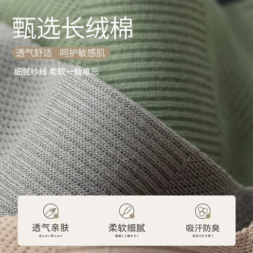 莫代尔6双装男士袜子男100%纯棉防臭抗菌网眼短袜运动透气春夏薄款船袜