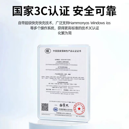 辛己盛适用小米充电器头67W/120w极速闪充套装13/11青春版红米K50/k40/k60手机type-c数据线黑鲨快充头 【适用小米红米通用款】适用67W快充套装1米