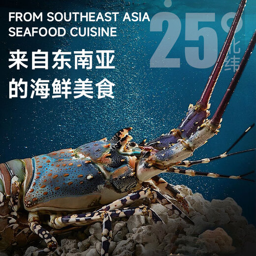 Mr. Fish Seller Indonesian live frozen blue lobster 200-300g/piece Extra large lobster Hualong seafood water produces fresh shrimp