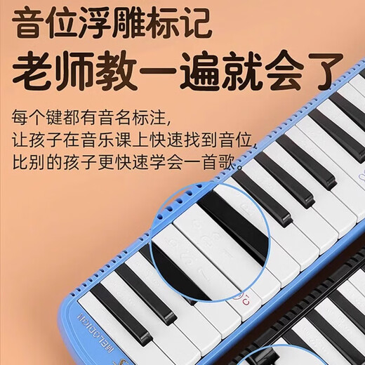 奇美DHS口风琴37键小学生用32键初学者专业演奏级学校吹管小乐器刻字 【学生课堂推荐】37键/粉色