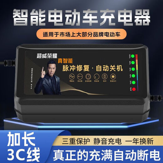 桐汝壁电池电动车充电器486072铅酸石墨烯显示电量-自动断 高端4840-45Ah 2米长线