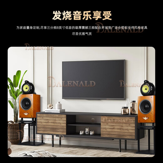 BALENALD NS8 NAUTILUS Fiebre alta fidelidad Basco de 8 pulgadas Nautilus Audio estantería de tres minutos Passive HIFI HIFI Altavoz coaxial de 12 pulgadas + 698 Amplificador