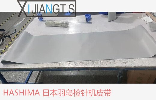 映棠定制西江传动P25-14/BMA检针机称重机皮带HASHIMA检针机伊斯曼检 灰色羽岛双探头4870*540 HASHIM