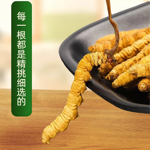 正宗冬虫夏草50条礼盒装虫草高品质正品药材虫草王干货虫草礼盒装 正宗藏区2条一克虫草 正宗虫草10克装