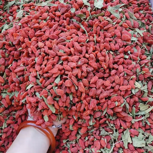 沁昱堂无硫磺熏的枸杞【1421人好评】新疆精河枸杞500克自然晾晒无添加  特级枸杞子补气健脾养肝泡水煲汤500g    补气健脾养肝泡水煲汤500g