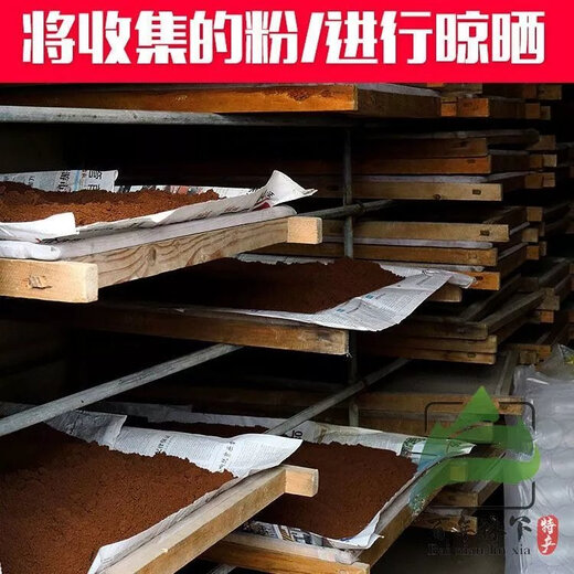 药房同款 灵芝孢子油软胶囊含灵芝三萜灵芝孢子粉提取特级 灵芝孢子油 4瓶120粒