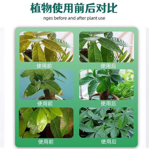 Aishangke Money Tree Nutrient Solution, the leaves turn yellow and fall off, the roots rot and the leaves fall off. Special fertilizer to promote roots, seedlings and sprouts without dilution. Buy 2 get 1 free. 3 bottles*500ml.