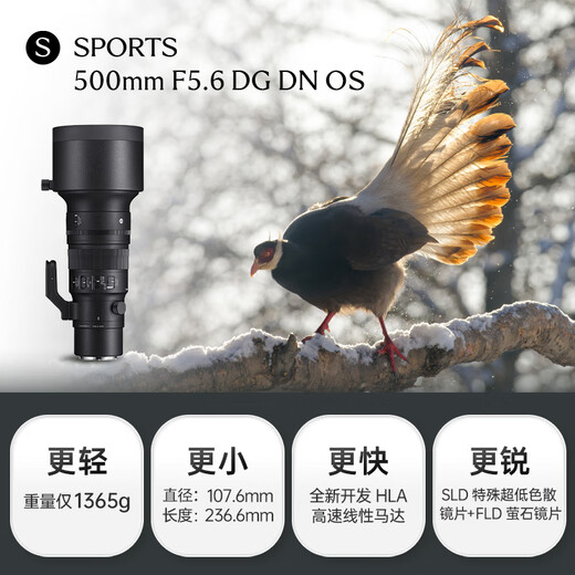 SIGMA 500mm F5.6 DG DN OS Sports full-frame super telephoto fixed focus lens for bird shooting and lotus shooting (Sony mount)