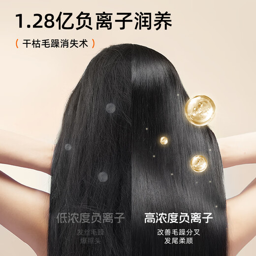 Bear Hair Dryer Negative Ion Hair Dryer Home Hair Dryer High Power Student Dormitory Low Power Portable Folding Birthday Gift for Girlfriend and Wife National Subsidy