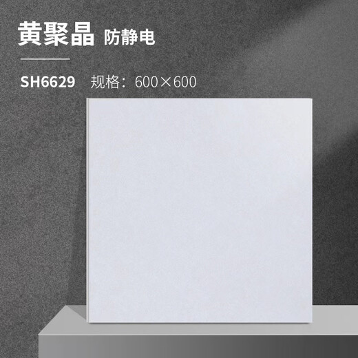 通洛防静电瓷砖机房数据中心 专用直铺地砖600*600*10 （单位：片） 黄聚晶6629