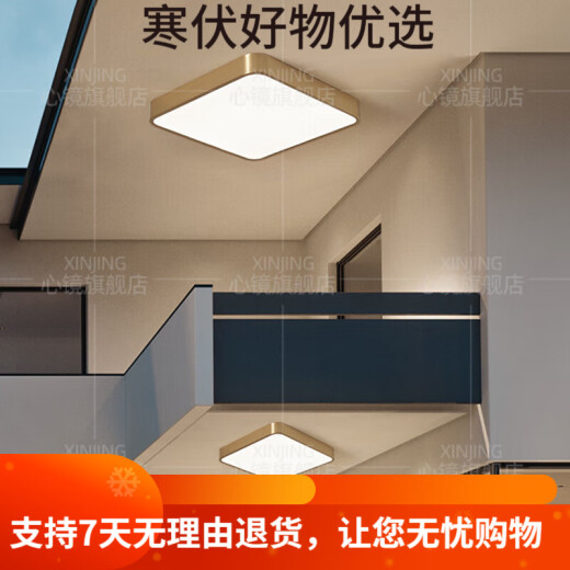 CLCEY全铜户外吸顶灯别墅入户门灯走廊过道阳台灯露台防蚊虫庭 X3893-3 X3893-600*800/长方形