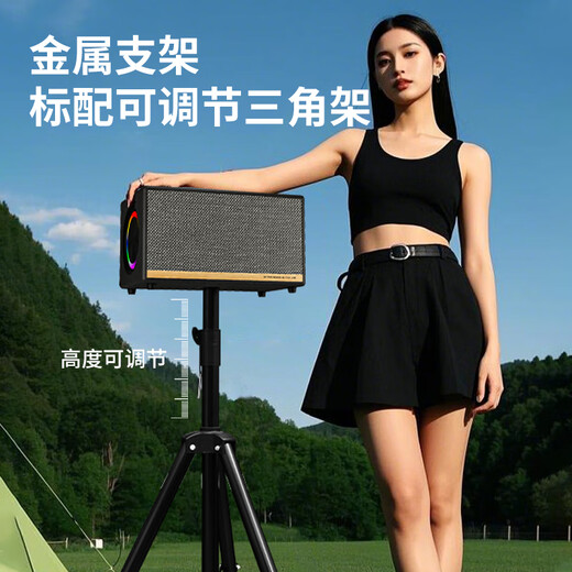 Danish Sheng (DMSEINC) AK57 outdoor musical instrument performance electric guitar singing speaker camping entertainment road show professional musical instrument audio AK57+ high-quality tripod