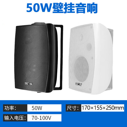 先科（SAST）DW50壁挂音箱喇叭 50W无源需连功放机音响店铺商用工程会议室家用餐厅公共广播背景音乐 5英寸