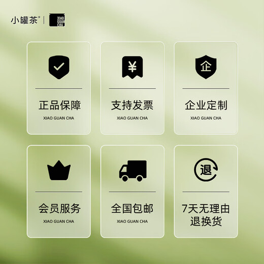 小罐茶巳巳顺意·早春龙井茶 2025年特级绿茶明前龙井18罐72g