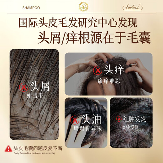 LD imported raw materials for men and women, hair follicle dandruff, anti-itch, oil control, fluffy, mite-removing cleansing shampoo, three bottles of family pack, a must-have for stocking up