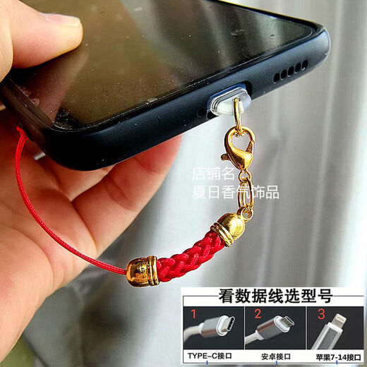 Mobile phone charging port dust-proof plug simple color lanyard hole jewelry pendant rope chain couple male and female student gift golden big red rope Apple 15 interface oval plug single plug