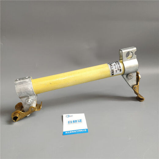 Drop-out fuse RW11-10KV/100-200A outdoor high voltage Lingke switch insurance fuse fittings 12 RW11-10F/100A200A yellow wax tube