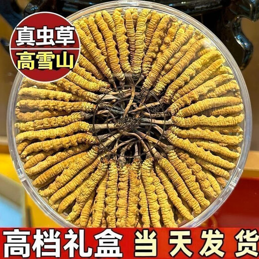 【假一赔十】雪山冬虫夏草正宗藏区虫草正品冬虫草礼盒装虫草干货 西藏那曲虫草3条一克合计10条