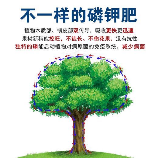 Potassium phosphate foliar fertilizer for agricultural fruit trees and vegetables, fruit expansion, color control, disease resistance, fruit preservation, phosphorus and potassium water-soluble fertilizer 1500g*8 bottles