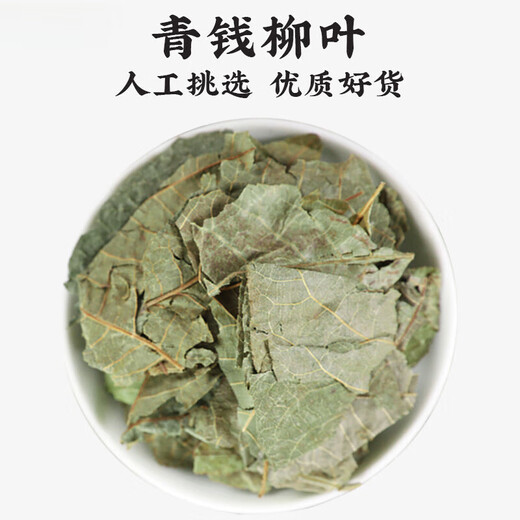 Jiujiuheren Qingqian Willow Leaf Chinesische Heilmaterialien: Jinqian Willow Tea Qingqian Willow Rindfleisch Tee Wasser Burdock Rasur Murata Health Tea [ausgewählt] Qingqian Willow Blatt 20g Tasche