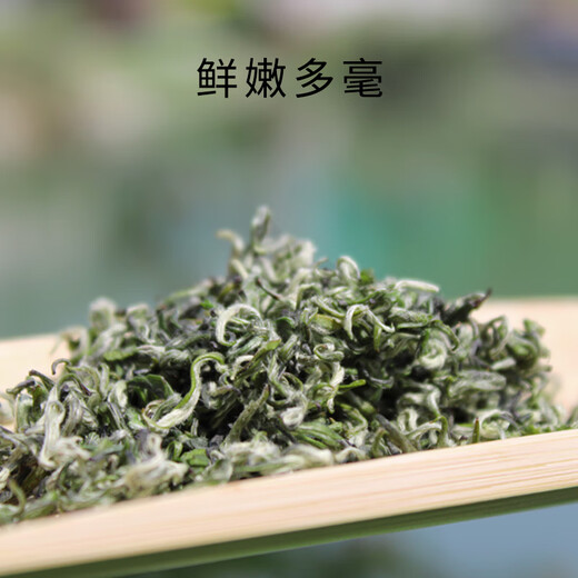 羽信蒙顶甘露特级绿茶茶叶2025明前新茶蒙顶山茶独立包装茶叶礼盒装 【国家地理标识】锁鲜30小袋(120g)