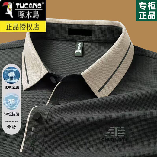 啄木鸟男士长袖t恤2025春秋薄款中年爸爸翻领POLO打底衫秋装上衣 16823浅绿 M 165【建议100-120斤】