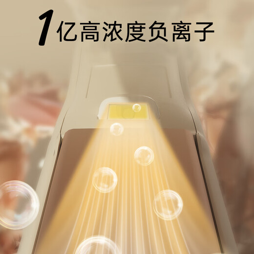 RIWA Splint Curling Iron Straight Clip Negative Ion New Year Gift Hair Straightening Plinth Curling and Straightening Dual-Purpose Men and Women Bangs Clip Inner Buckle Straightening Anti-perm Birthday Gift RB-8160