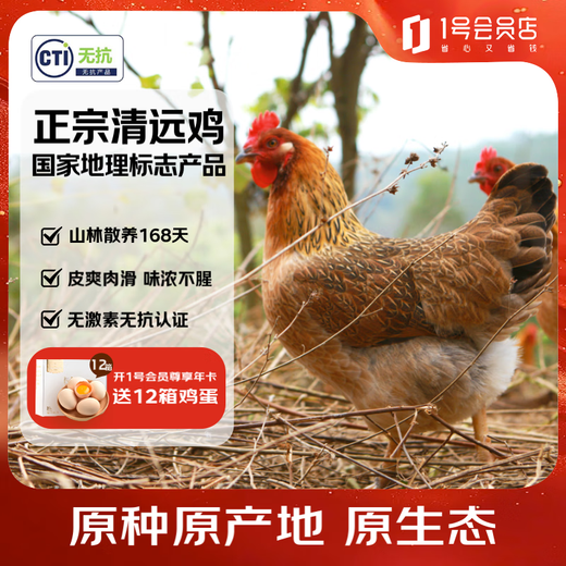 No. 1 Member Store Purebred Antibiotic-Free Qingyuan Chicken Ecological Free Range 168 Days Hong Kong Free Range Chicken 900g