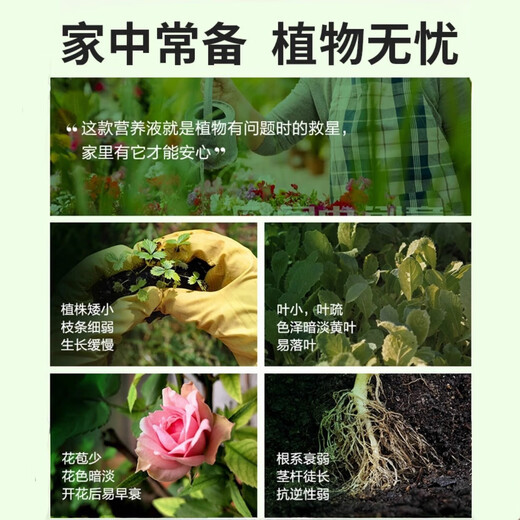 Nutrient solution plant general flower fertilizer fortune tree rich bamboo green dill hydroponic potted household flower flower fertilizer general type 500 ml bottle