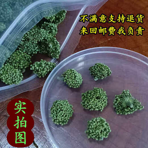 云永堂三七花茶田七花苞云南文山精选正品头茬大无碎渣野外生当季三七花 新花：六年花（特级大朵250g）