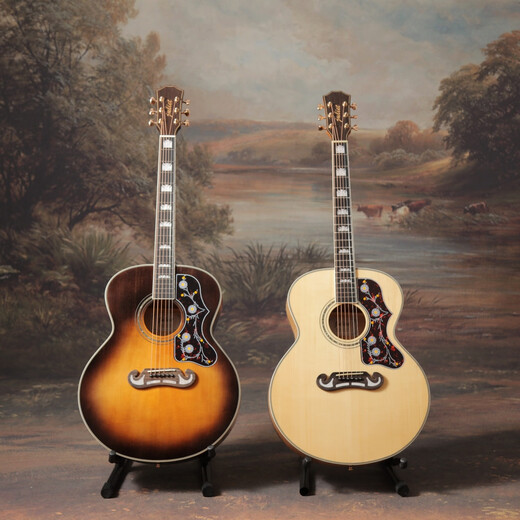 Juliet Guitar Juliet Guitar F910 Full Single Electric Box
