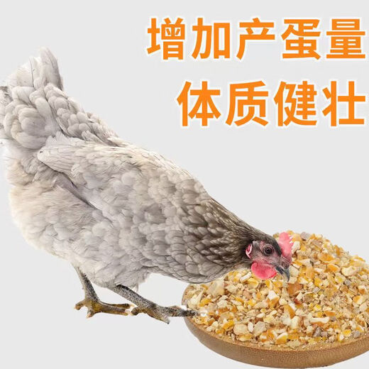 Yinghuan layer chicken feed for hens, egg-laying broiler chicken fattening particles, full price special wholesale for nesting and breeding, 5 Jin Jin is equal to 0.5 kg, layer chicken feed