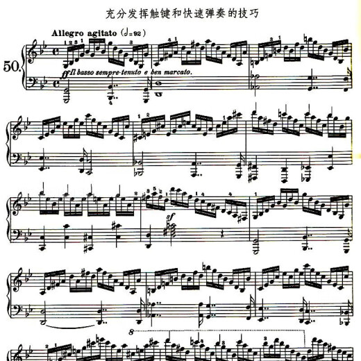 50 Etudes de piano de Cheerny Cheerny, 740 ejercicios técnicos con dedos inteligentes (699) Pople's Music Publishing House Libros de piano Basic Piano Technology Etudes Libros