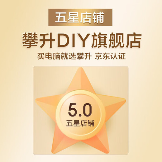 攀升睿龙13代酷睿i3独显网课学习办公电脑主机家用娱乐LOL企业采购迷你商用台式全套diy组装机电脑整机 12100 16G 1T WIFI丨配置三