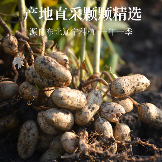 三点食分白沙花生仁700g（东北白花生米 五谷杂粮粗粮 大米粥米搭档）