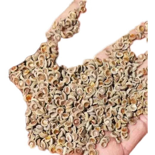 Chinese herbal medicine seedlings, powdered fangji seedlings, Elecampane seeds, golden thread hanging gourds, Jiangxi Stephanotis genus Hanfangji seedlings, powdered fangji dry seeds, 1 Jin Jin is equal to 0.5 kg