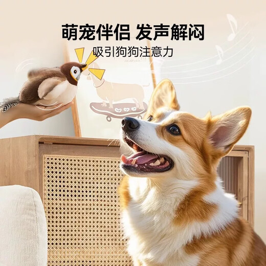宠街坊狂嗨抖抖鸟电动猫咪玩具发声仿真小鸟狩猎玩具自嗨神器自动逗猫棒