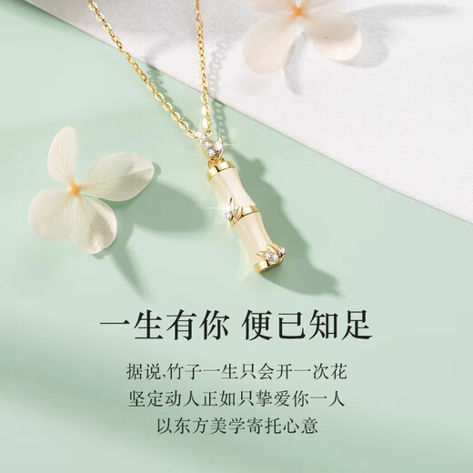 MZMZ You You Zhu Guo Platinum Necklace Women's PT950 Platinum Necklace Hetian Jade Bracelet Girlfriend Wife Chinese Valentine's Day Gift Light Luxury Style - You You Zhu Guo Bracelet