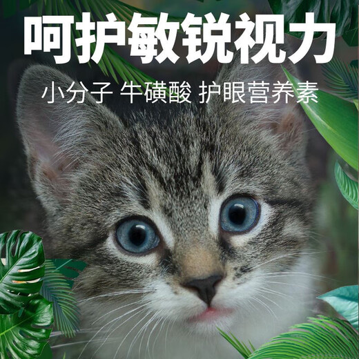 OIMG Wo Xiaobao Ragdoll cat special cat food natural freeze-dried adult cat and kitten nutritional cat staple food 6 pieces staple food + 3 kinds of freeze-drying + 2 kinds of raw bones 20 2.5kg