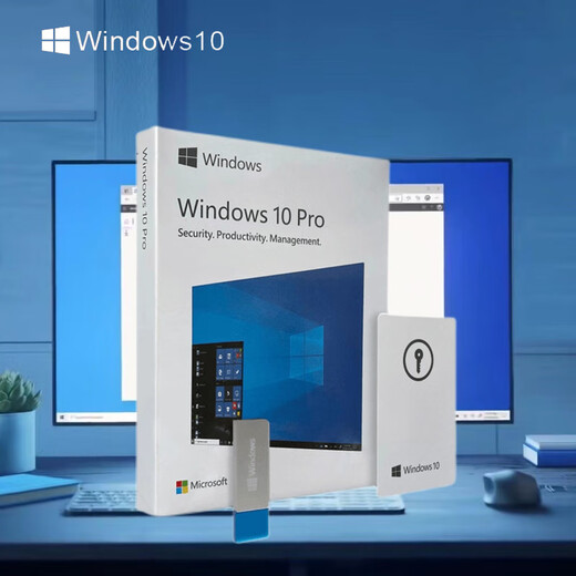 正版win11专业版系统u盘电脑重装Windows10家庭中文版升级Pro纯净 Win10专业版中文简体USB-1台激活