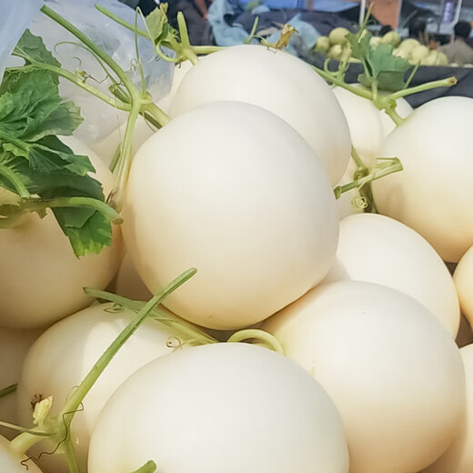 Beishu Melon Seeds Emerald Rock Sugar Seeds Croissant Honey White Sand Honey Spring Cantaloupe Seeds Beishu Zhuo Crisp White Sand Honey Melon Seeds 150 capsules 2 bags