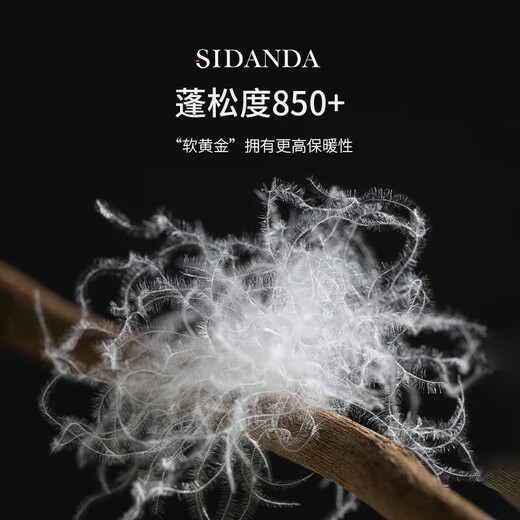 SIDANDA被波兰95白鹅绒锁锁温技术160支全棉鹅绒填充1048g 波兰绒专利冬被200*230cm