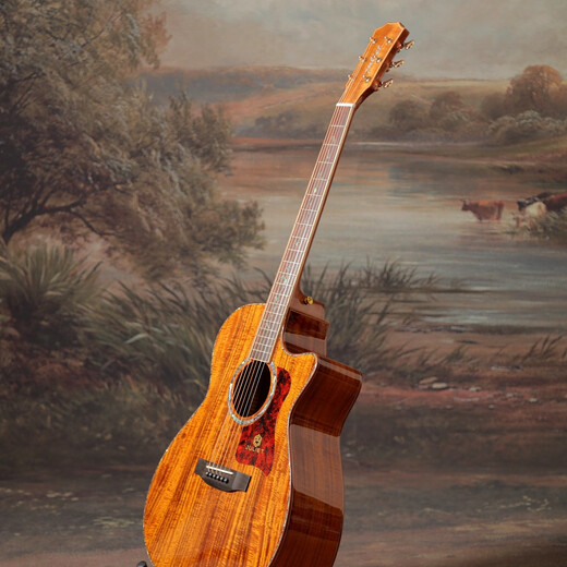 
Juliet Guitar Juliet Guitar F718