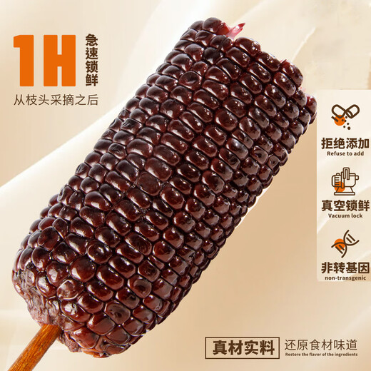 Jingxiansheng & Black Bear Chuck Shandong Black Corn 3Jin Jin is equal to 0.5kg 150-180g/root whole grain breakfast vacuum packaging straight from the source