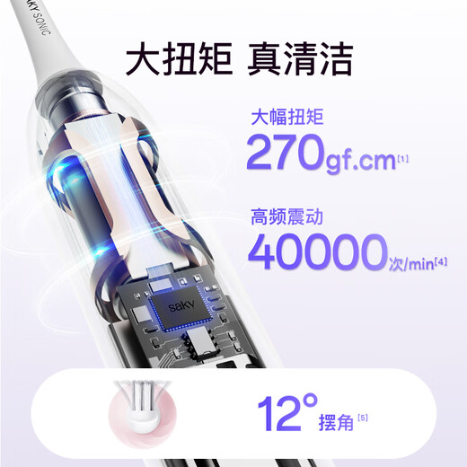 Shuke New Year's Day + New Year's gift, great value gift, sonic electric toothbrush T2, student male and female couple gift set, super cost-effective gift, Biqi Lake Black (2 brush heads)