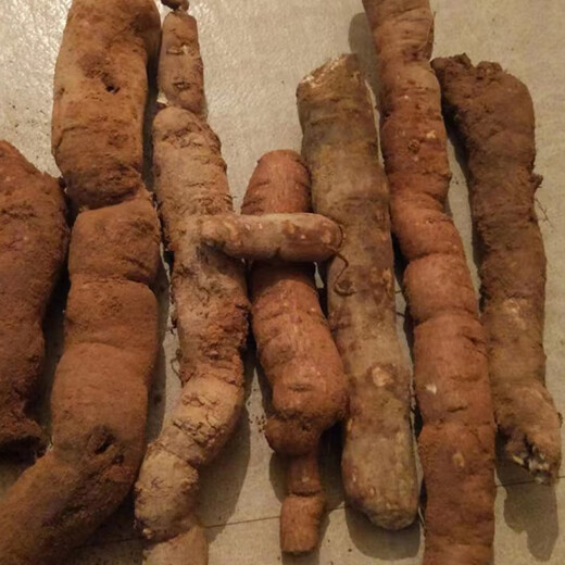 Chinese herbal medicine seedlings, powdered fangji seedlings, Elecampane seeds, golden thread hanging gourds, Jiangxi Stephanotis genus Hanfangji seedlings, powdered fangji dry seeds, 1 Jin Jin is equal to 0.5 kg